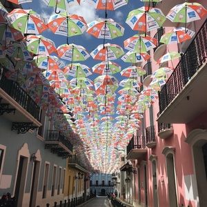 Meet your Posher, Rosalia